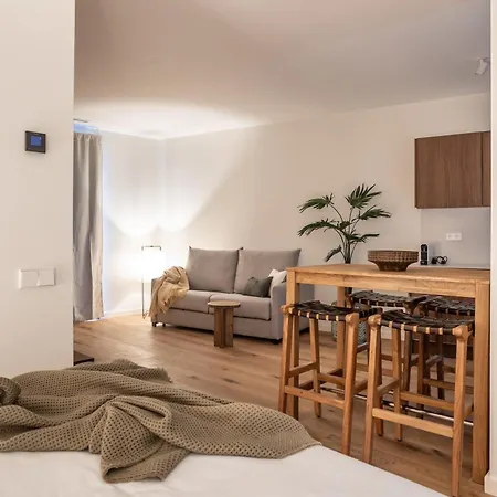 Apartament Azcarraga *